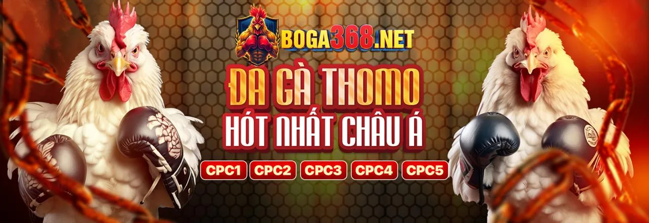 Hình ảnh chính về Tuân thủ GDPR tại 88i link vào
